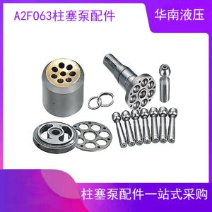 Rexroth inclined shaft plunger pump A2FO63 A2FM63 A3FE63 Zhonglian crane hydraulic pump repair parts