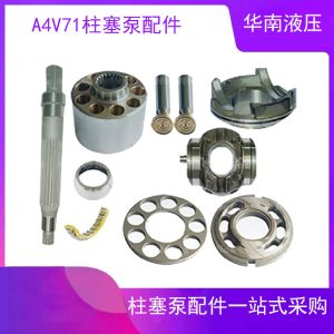 Rexile plunger pump A4V71EL20R10X02X-SO oil equipment Special hydraulic pump repair accessories